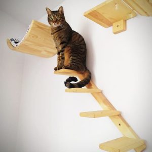 Escalera de pared para gatos