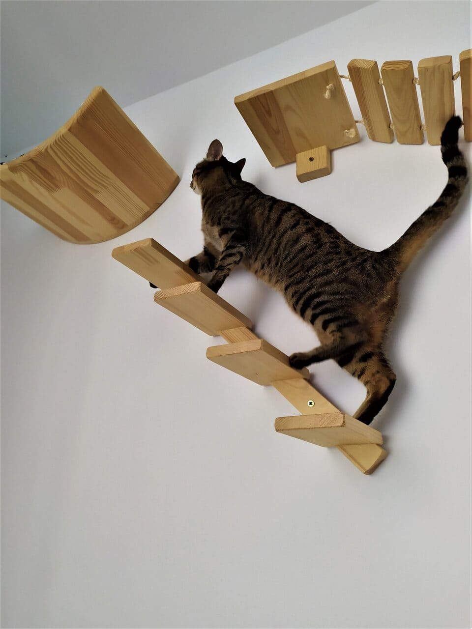 Escalera de pared para gatos - Catmuebles