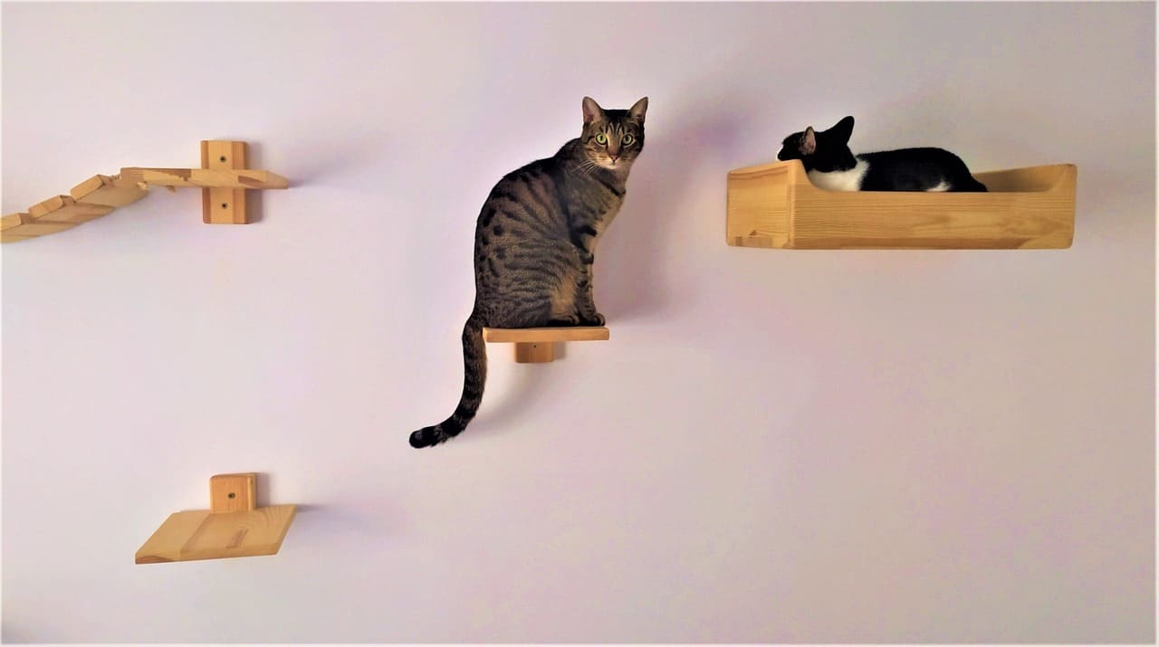 Escalón de pared para gatos - Catmuebles