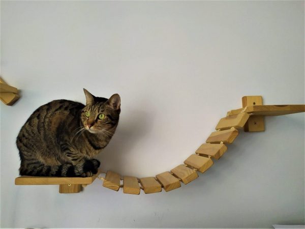 Puente de pared para gatos