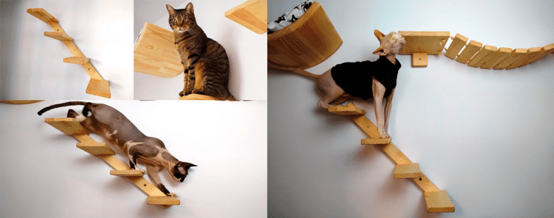 Escaleras de pared para gatos