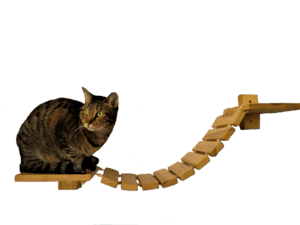 Puente de pared para gatos PNG