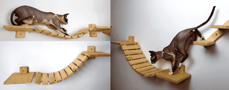 Puentes para gatos